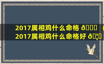 2017属相鸡什么命格 🐛 （2017属相鸡什么命格好 🦄 ）